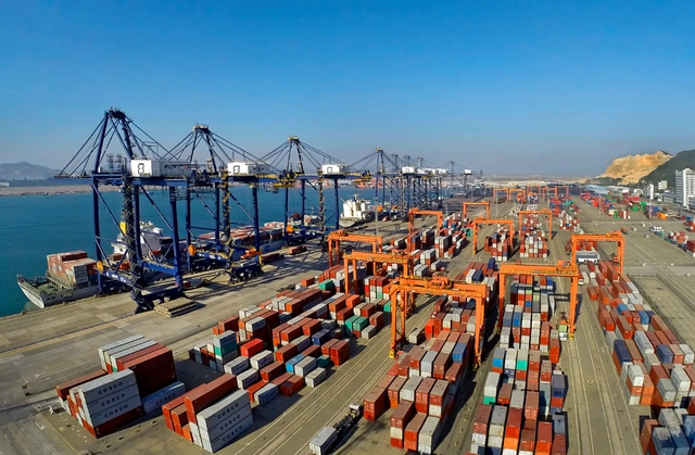 2023年上半年内贸海运集装箱是各大口岸增长的主力